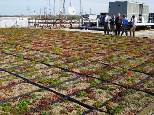 Green Roof